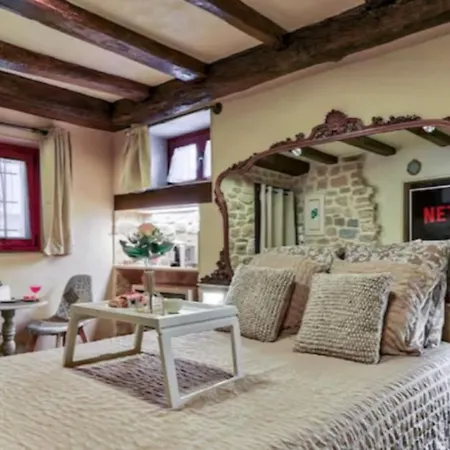 Le Romantique - Terrace & Jardin - Hypercentre - Rent Immo *