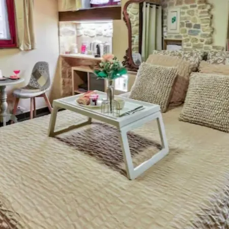 Le Romantique - Terrace & Jardin - Hypercentre - Rent Immo * 第戎